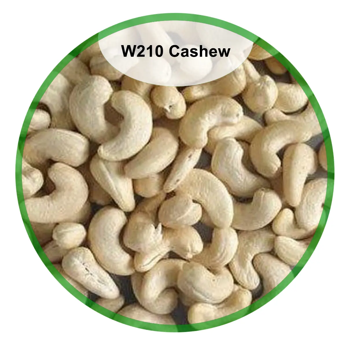 W210 Cashew
