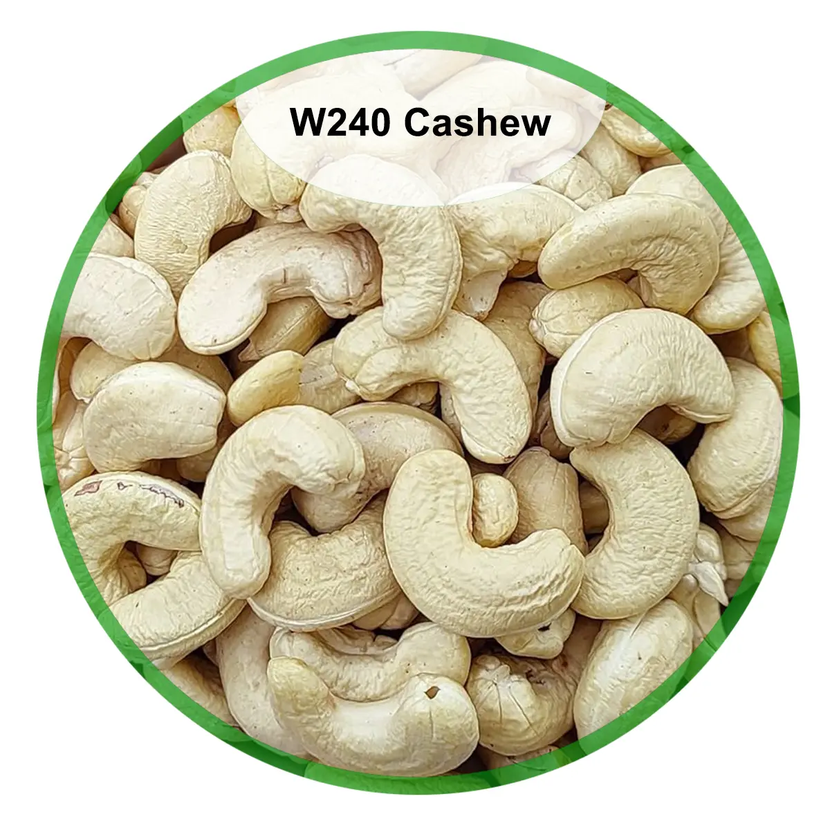 W240 Cashew