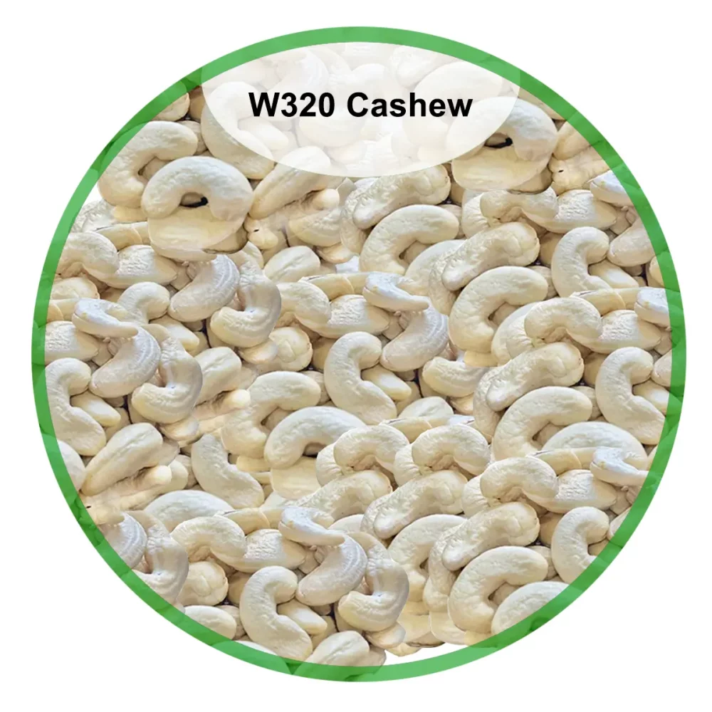 320 Plain Cashew